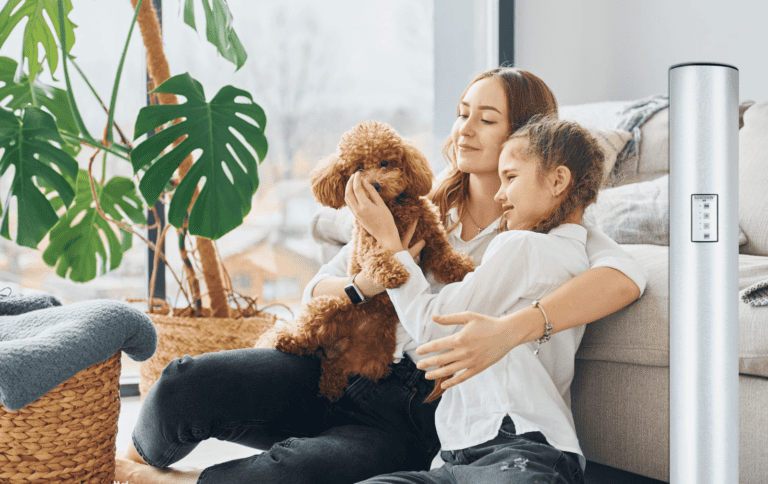 Nanodron Luftreiniger für Allergiker Nanodron Air Purifier for Allergy sufferers