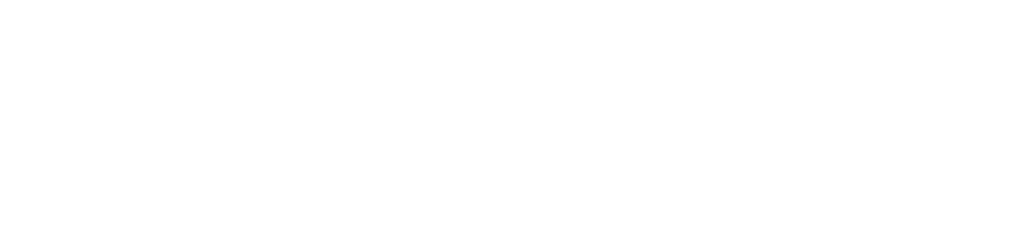 Logo NANODRON white